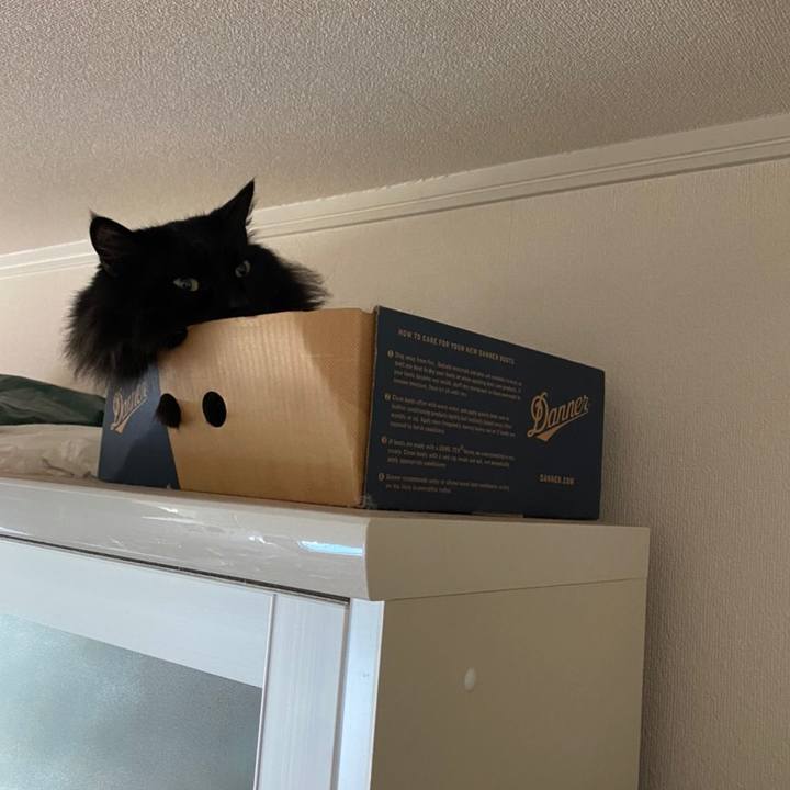 43844538 2f17 4501 8e68 dd128d830f26 1582891592246