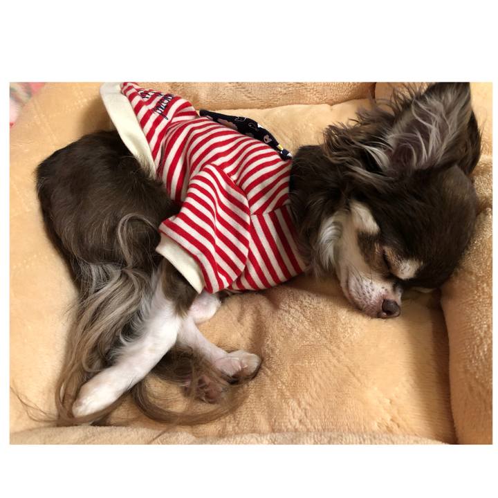 43845208 57be 47a1 86bb 6c0500662842 1519570318841