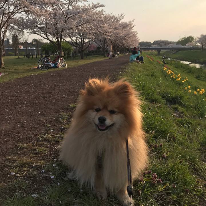 438452df 785d 457e a303 7433e8327ecd 1554728401478