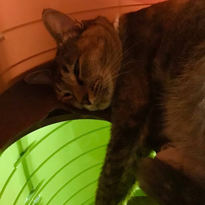 43845b6e e5cf 474c 9057 bcf3d07e751b 1657367657902