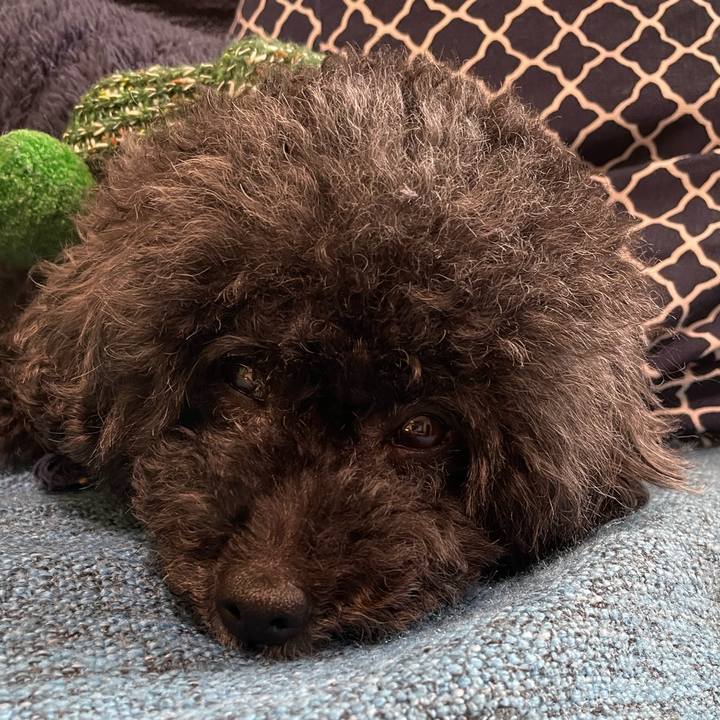 438472de 0c52 47c2 8600 e11b89156c9b 1670366981137