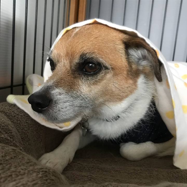 4384dade e27f 4727 89e8 21efb7d4eac0 1525920447134