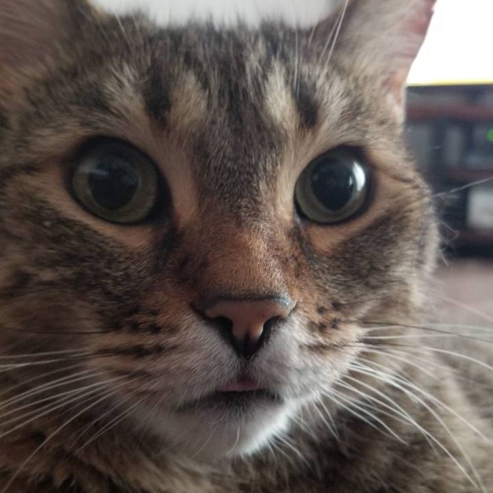 4384dd53 59ca 4906 b938 0d8c4762fe84 1559684821260