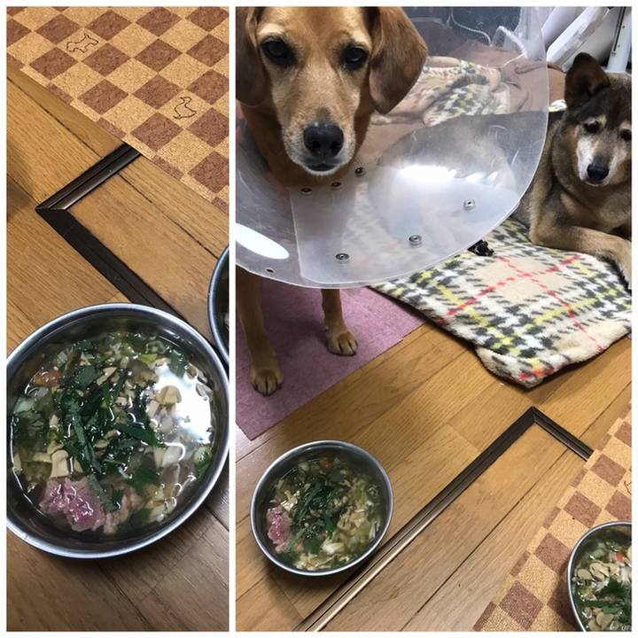 43853a2b 1a85 4f85 b43e c931381d7e9b 1558436124225