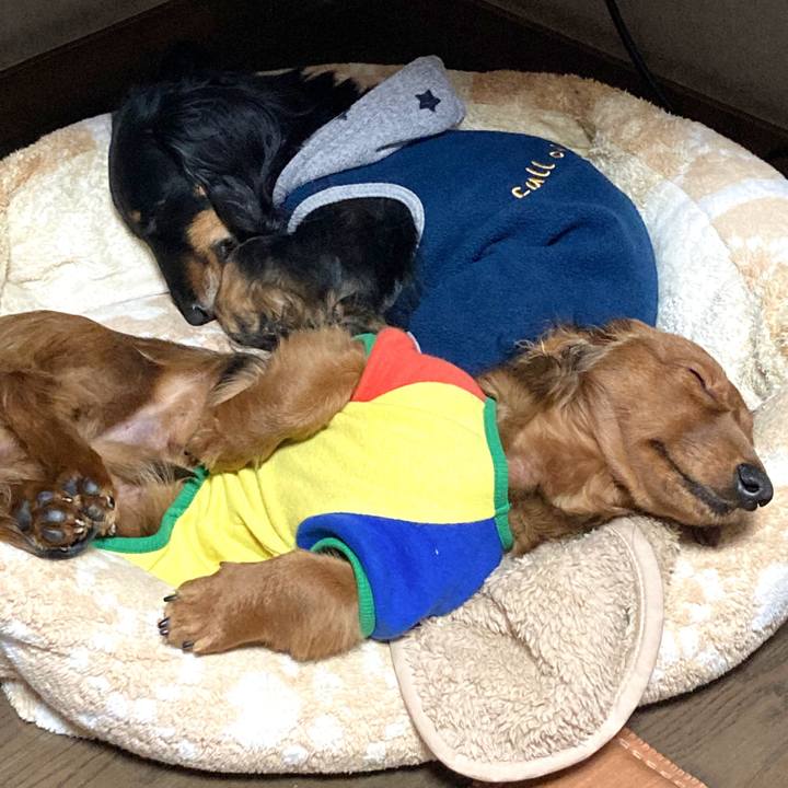 43855999 31e3 44da 9884 f7c7e6e13aa1 1708493377318