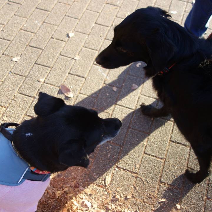 438559f5 0b79 4cf4 a99d cdbe07adc2e2 1704502843072