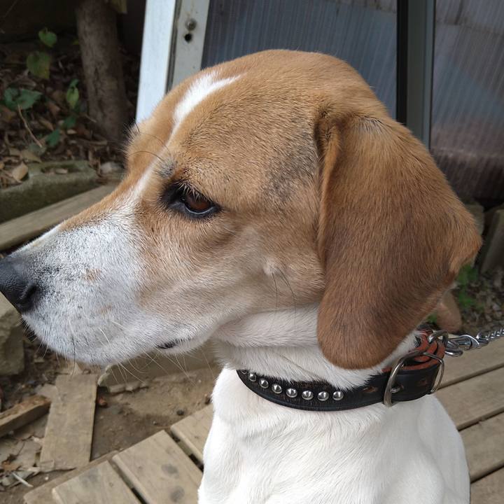 43855ad8 aad0 4d48 acbf f201cc60345c 1638673840345