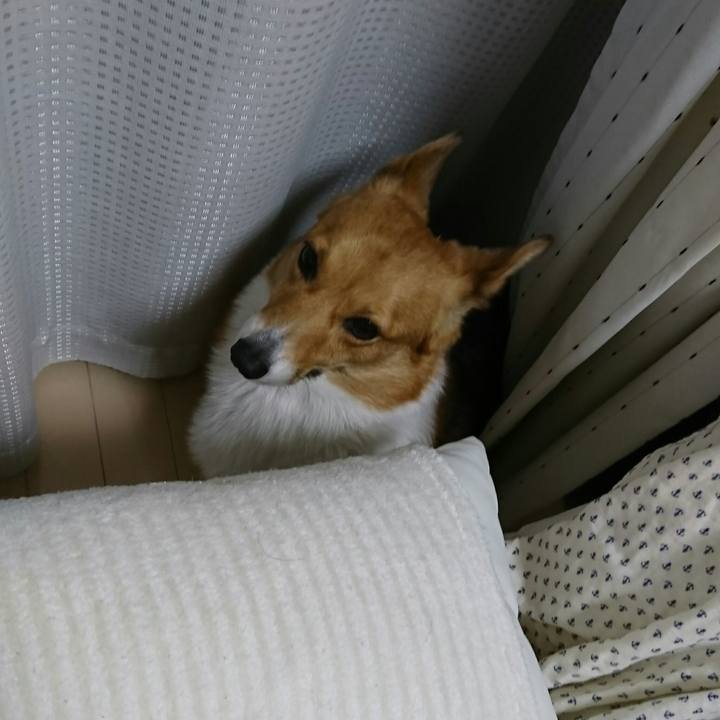 43857f42 0d2e 4dc6 8ce2 91b12eafb0eb 1520854883798