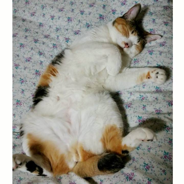 438591c0 be87 4baf 93d2 9b7b0352ebd8 1512652662223