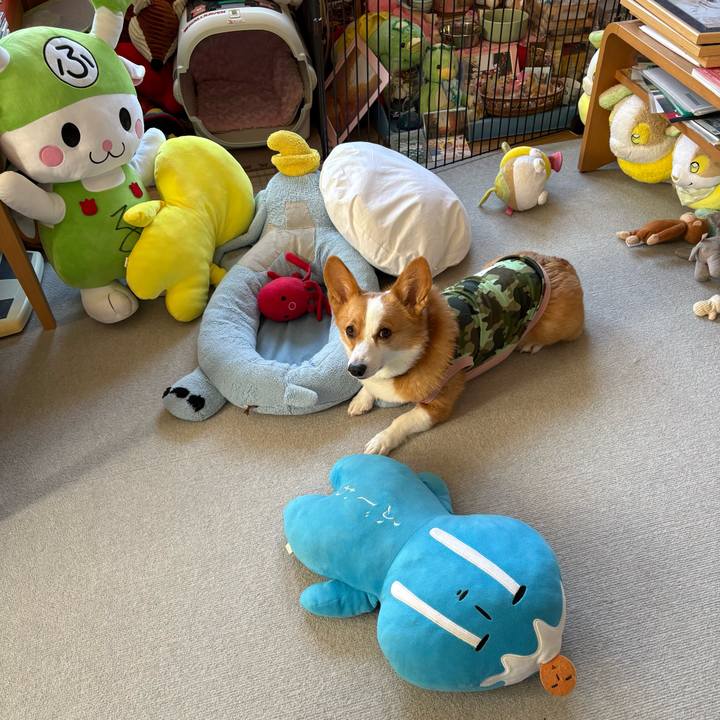 43859904 027a 4230 9a3e 8bb858251a56 1771731504125