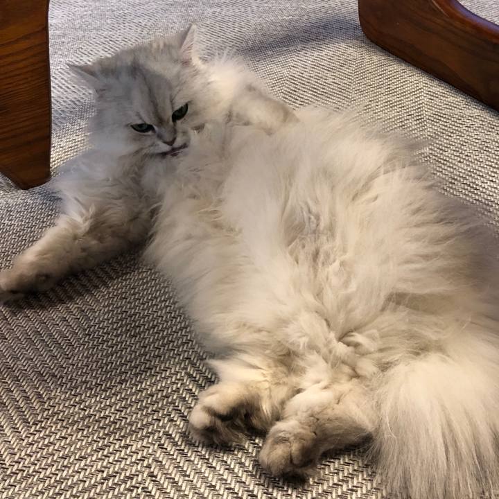 4385b084 00bd 4ebd aade ca312c988a1b 1554507859769