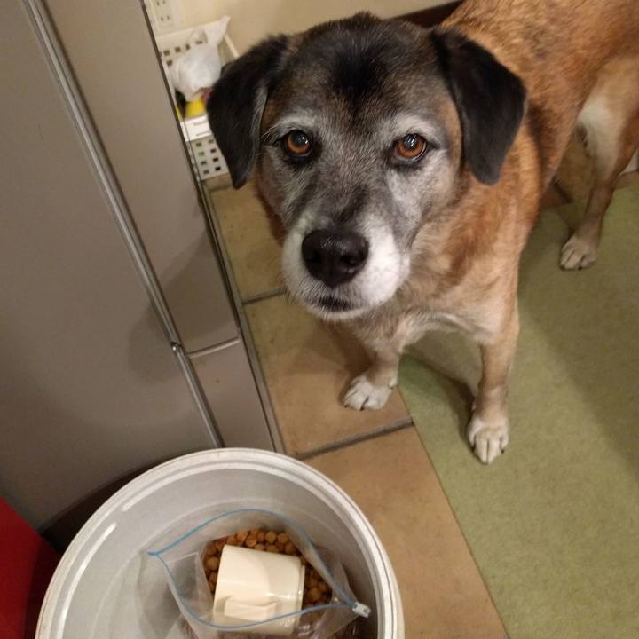 4385b363 8941 47de 8de0 7c3e2db5d262 1513858032845