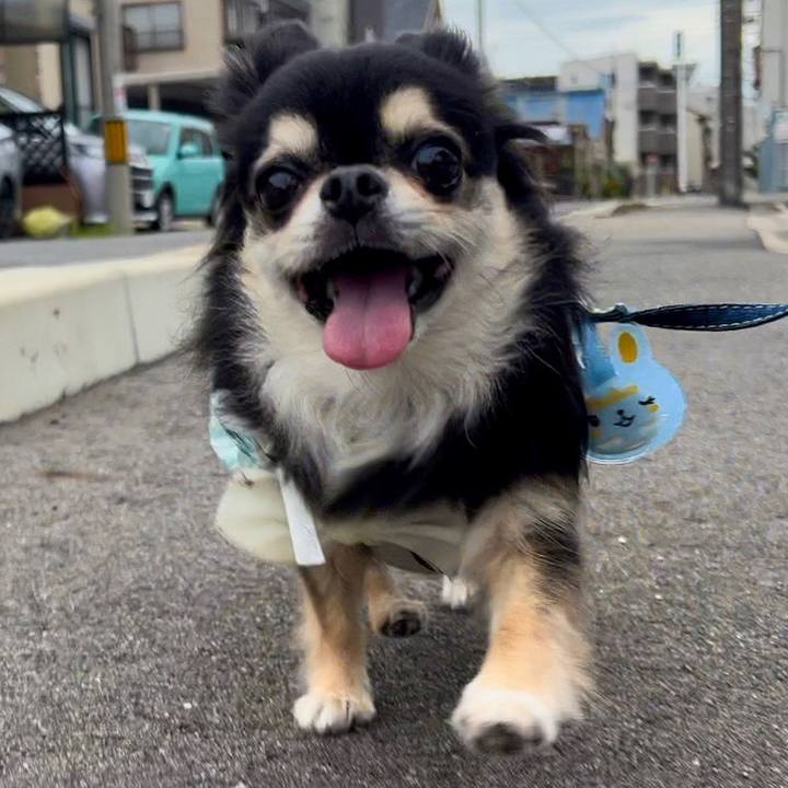 4385bf82 f1c5 4961 b4dc 9cda56e507d5 1695336550931