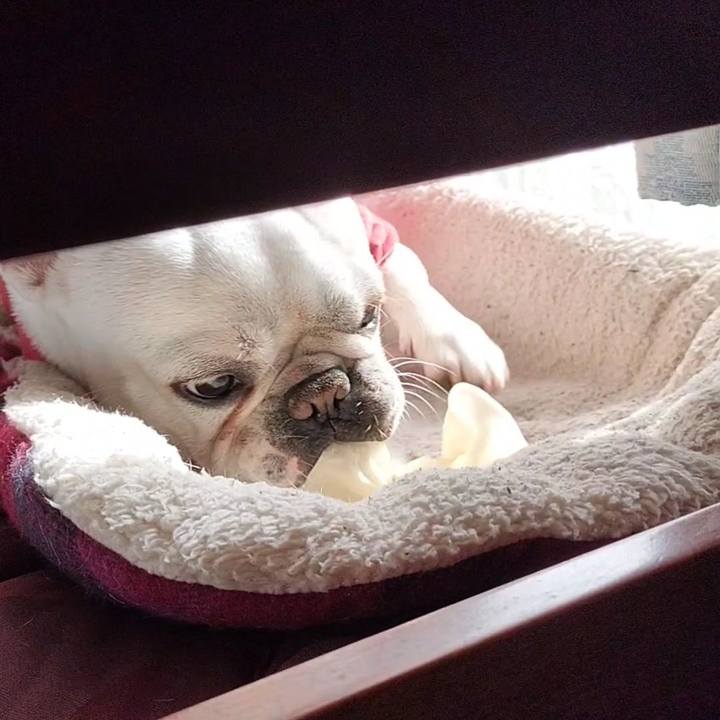 4385fdca 3143 4dc1 97f4 8726a2068655 1673495067959