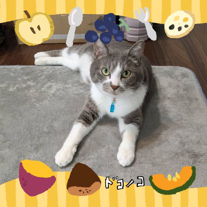 4386197c a8d8 4ec6 8e3d 5aa73df0487c 1726880922394