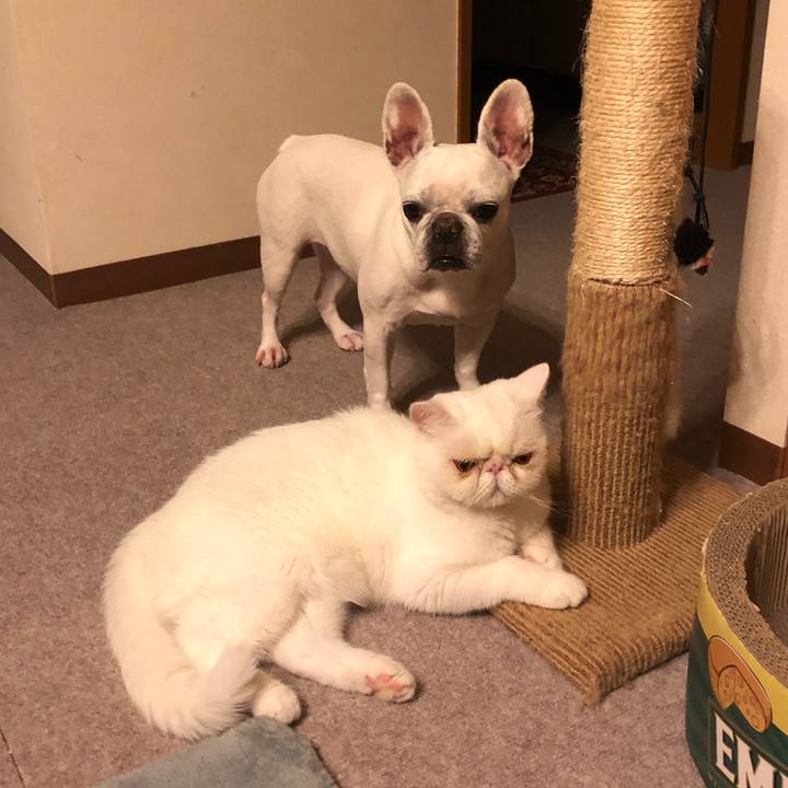 43869f69 5554 46ad 9b7e be3d3f4ef639 1626347576574