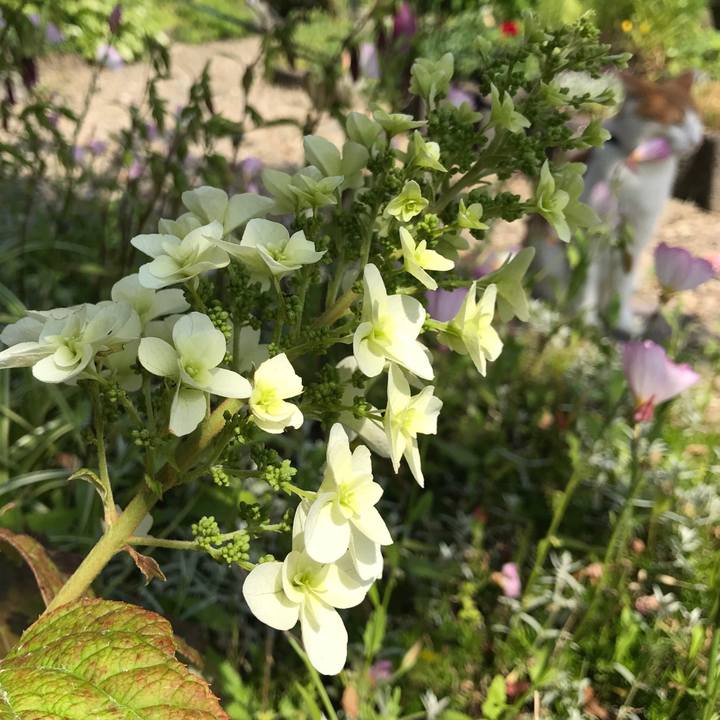 4386c219 c9a5 4f62 8296 cb22d45eeaa1 1528522402829