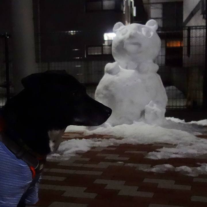 4386c961 decd 43ce 8630 3d6561f2a051 1707215952133