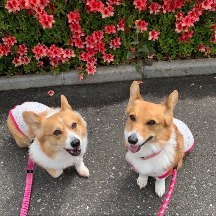 4386d007 8f8a 47f2 a2fb 99a76eb84bd5 1764300320130