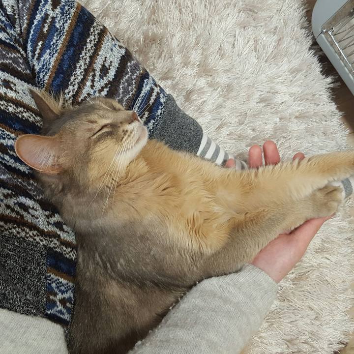 4386d62c 6cf4 40f8 896e cc3bb434ca85 1521723333248