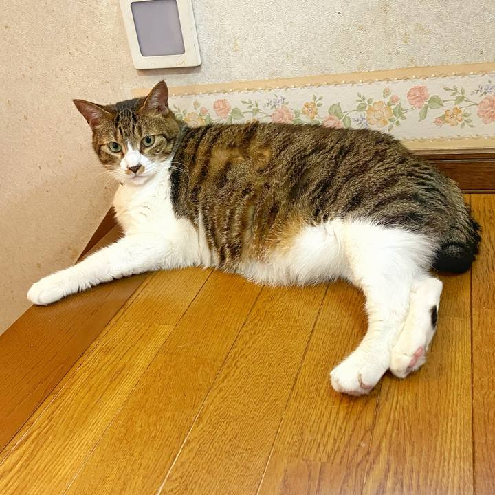 4386ede8 a0b7 4ea6 b14f 35c1390dc19f 1751928890391