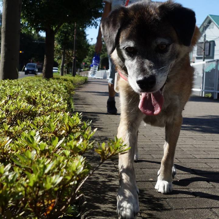 438711bd 8164 4e0b 981e 47d8d2764c1f 1615507388583