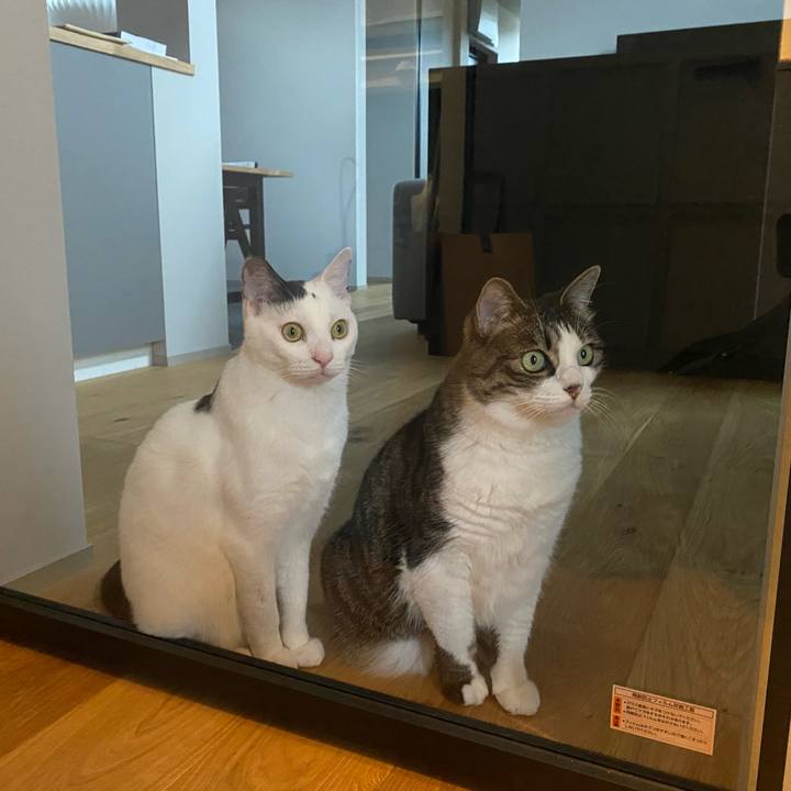 43871b53 e7df 4fe8 b3b1 b966b05740c8 1719201950362