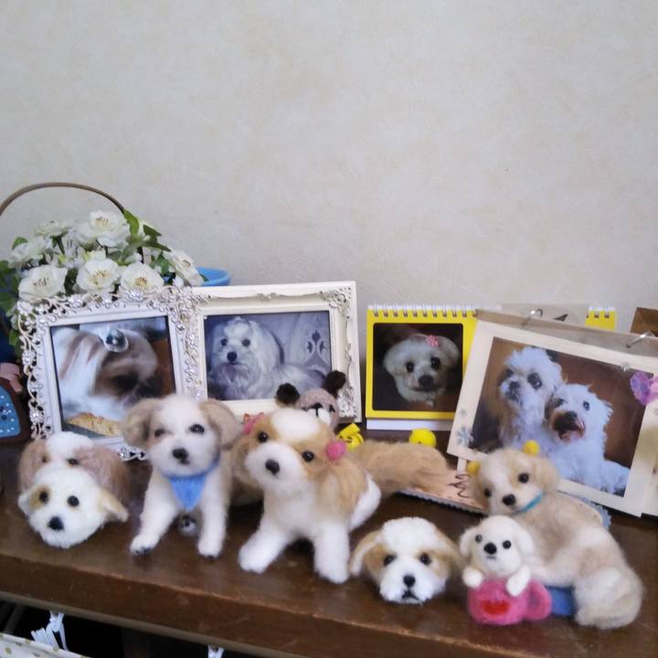 43875b78 6c68 4419 8b69 f57e5d8fefcf 1541477081642