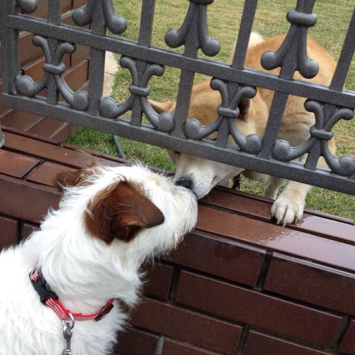 4387a402 63c1 4f99 a513 eb3a15af45a9 1566173660682