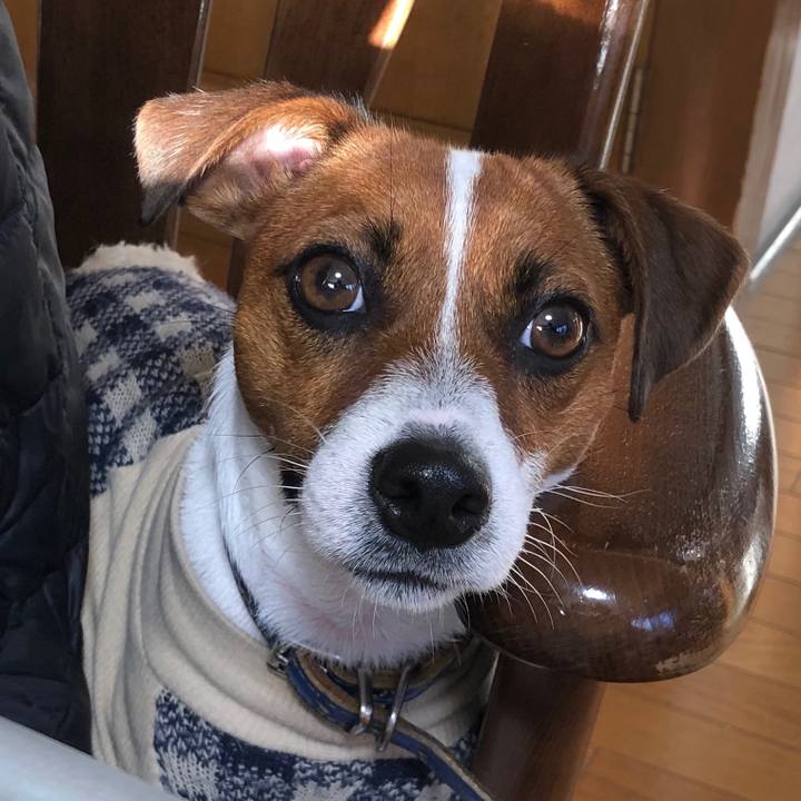 4387ba53 ed74 4206 a939 3887b48645c1 1543318058933