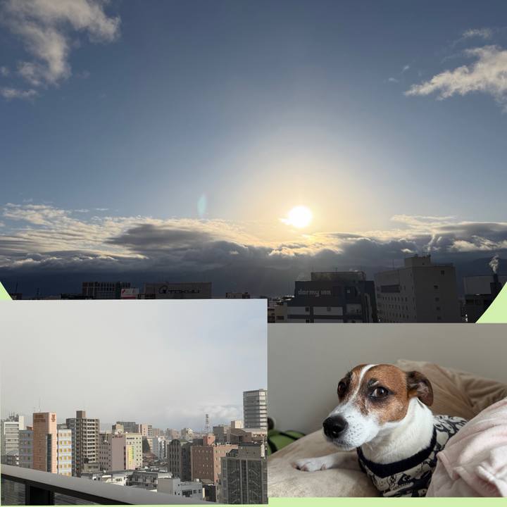 4387c134 8e8c 4537 87e9 e2959ad79e40 1768868865282