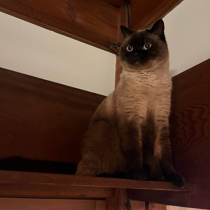 4387dc50 4b25 4530 818e 316d3d712da0 1683889365561