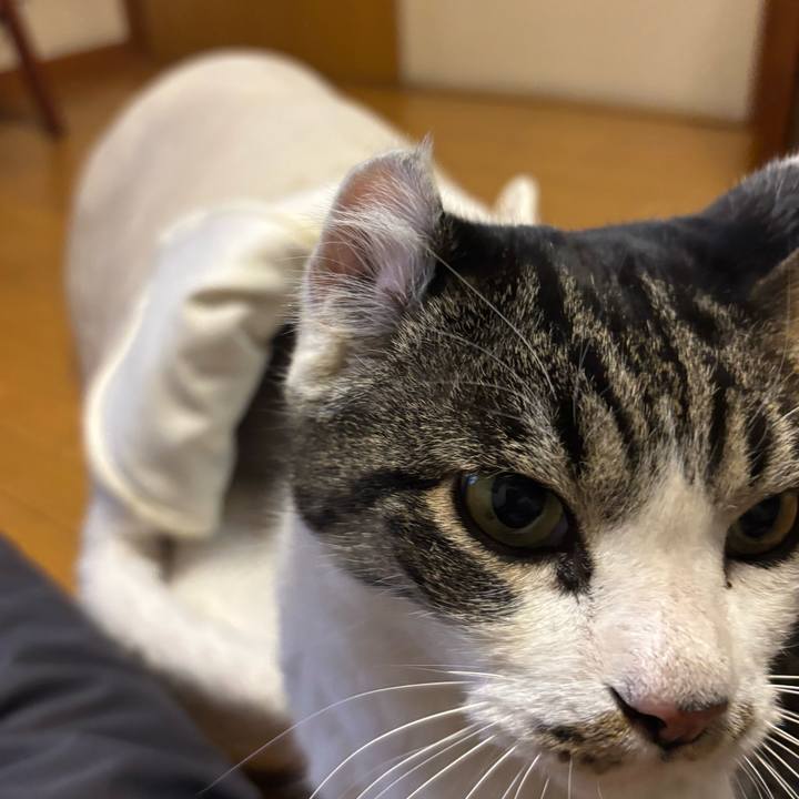 43882dd0 b440 4b9a 9bf8 2e14f6455430 1769676605182