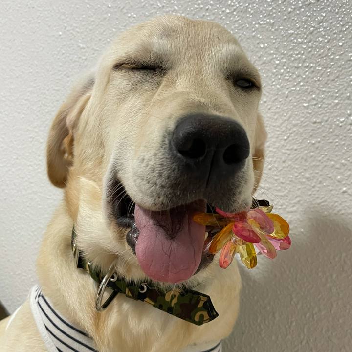 438855d0 0062 44da a64f ca99db0a3cd0 1621461833514