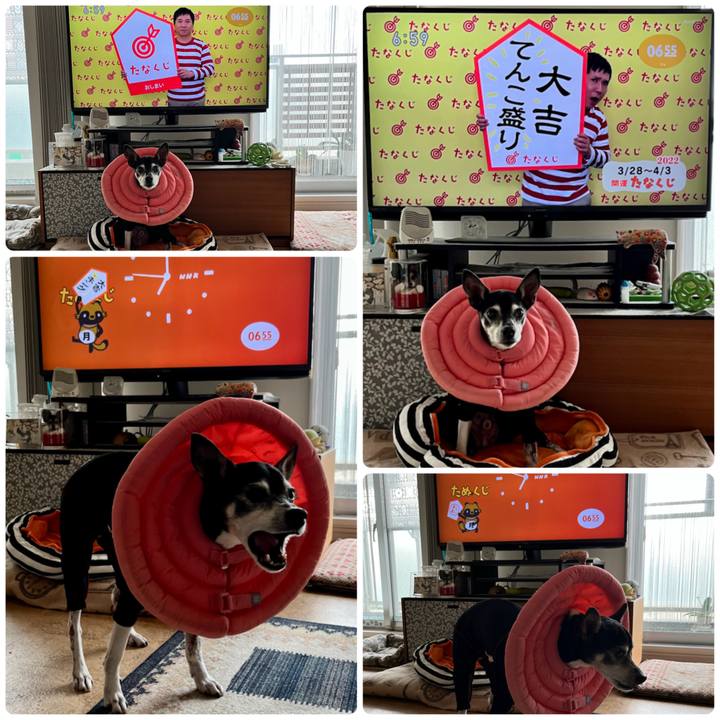 4388ad14 ddfa 4d69 a5af 78ac076c6145 1648419364213