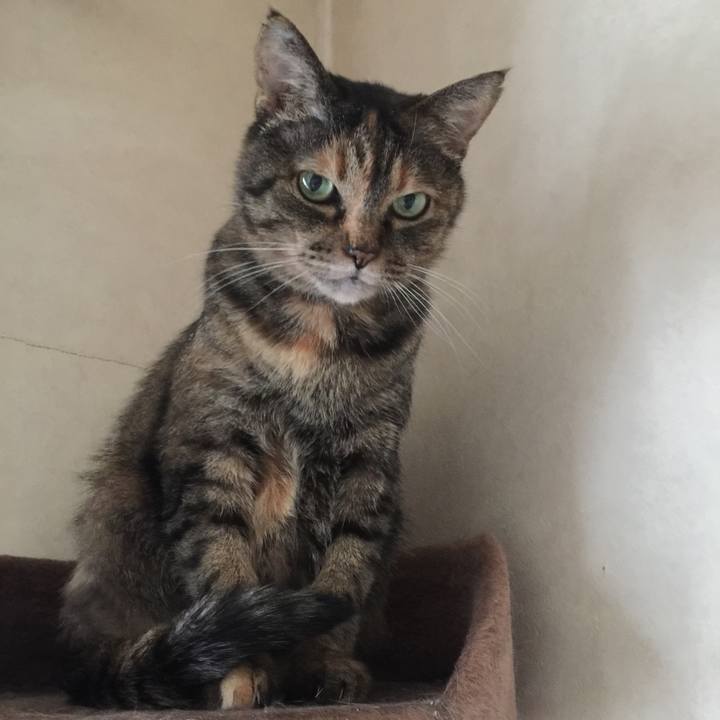 4388dca0 36eb 449a 9f23 7f84fe5b5770 1549780347596