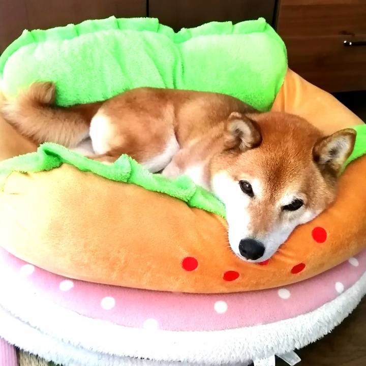 43891178 232c 42b0 aa24 a4f2f975a901 1687072524120