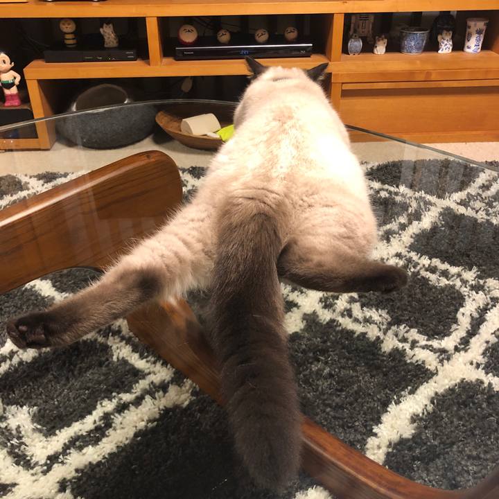 43891b3e 75f6 40fa b3f7 2d97421a245c 1591105115586