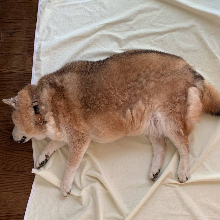 438928cd d611 4231 a2c9 c7466be7e4b6 1655622405509