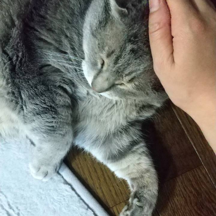 438956b1 7900 430a be51 86c1af5f5a5c 1621515187834