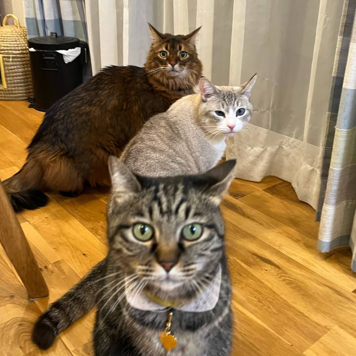 438957cf d8e5 429d b9b6 834aa6753601 1705291198672