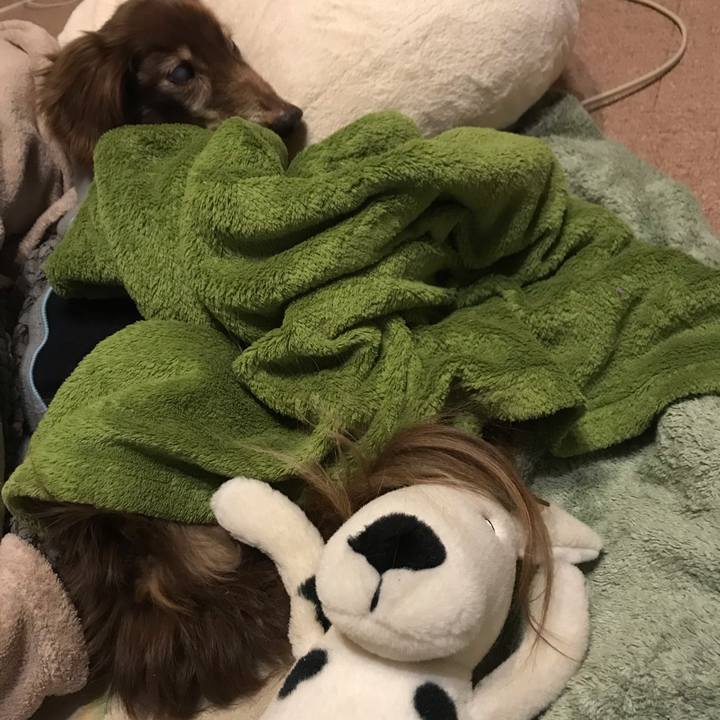 43895851 04df 41a9 bbd5 15966888c4e1 1586785057848