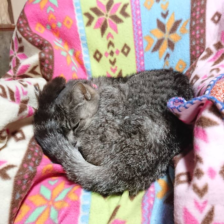 43898037 95c8 4a05 9a7b 04433ec5c6a0 1584924117024