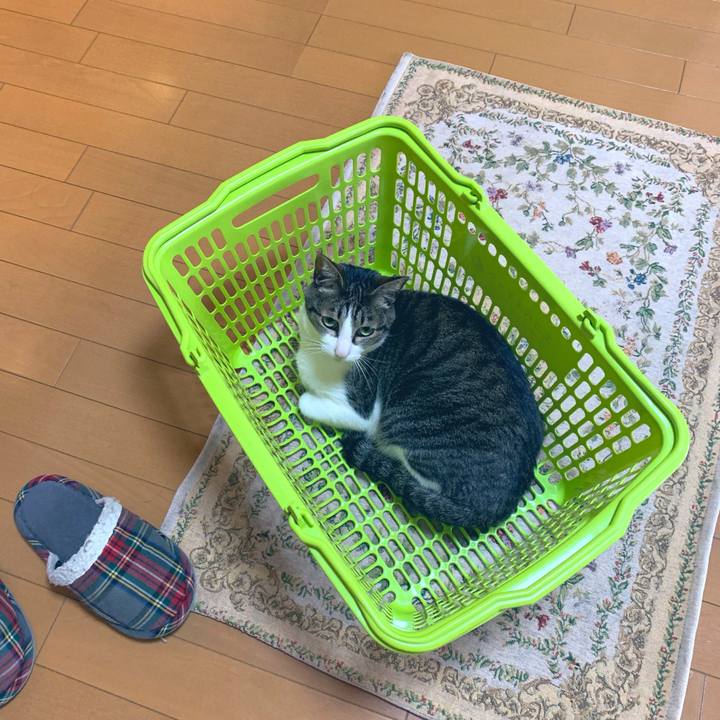 43898921 3c43 49d6 b1ec 267c81c8aae6 1557644755504