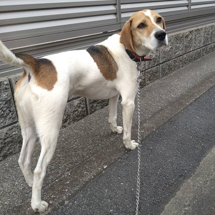 43899fb1 04c9 4489 b6ac fa5d0e0f7802 1622008809953