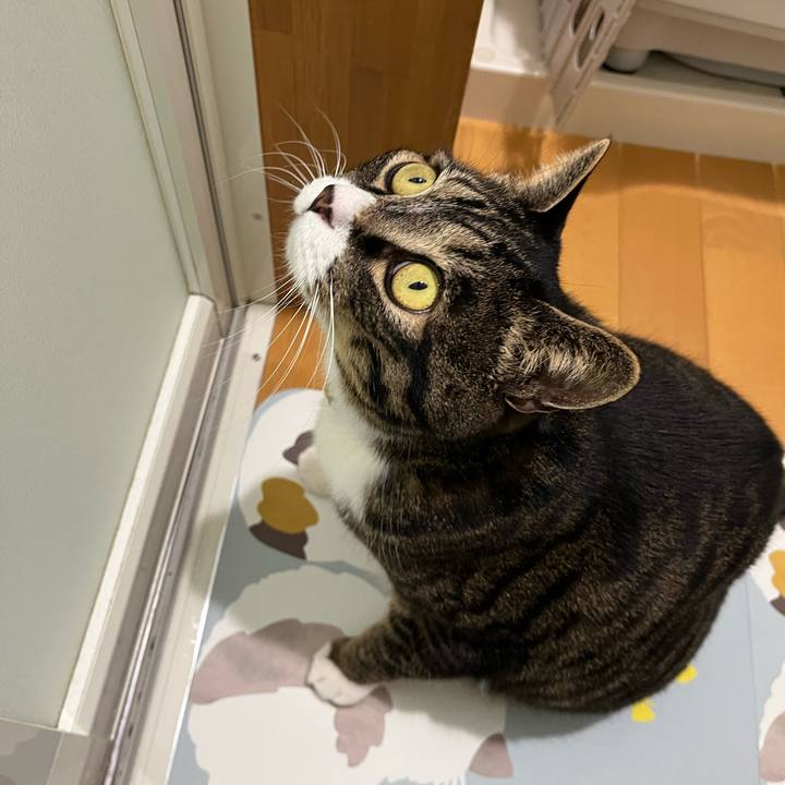 4389ab83 8a1c 46fd b018 ecd09a295a17 1773876913236