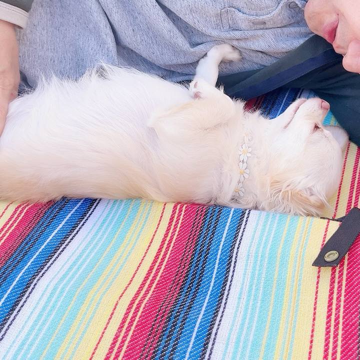 4389f564 3fb6 47b1 9ebf ad0d8b414aa4 1697961205667