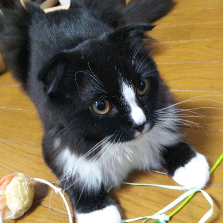 438a065c c21d 490e 87b8 fbdd376cada5 1647091227085