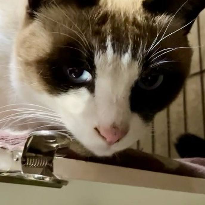 438a38a0 5d14 41fa 964f 157f51a4ba0a 1737978491330