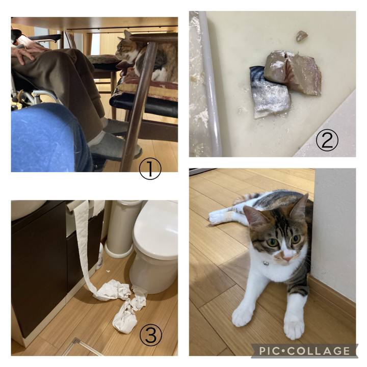 438a6f74 618e 4860 8250 dff06b50e44d 1654492206360